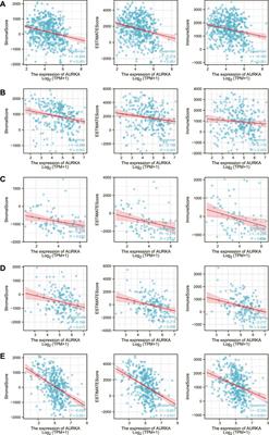 Comprehensive pan-cancer analysis and the regulatory mechanism of AURKA, a gene associated with prognosis of ferroptosis of adrenal cortical carcinoma in the tumor micro-environment